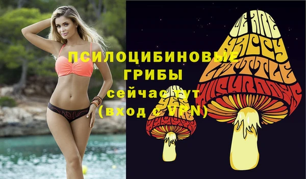 прущий лед Алзамай