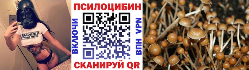 закладка  Анадырь  Псилоцибиновые грибы ЛСД 